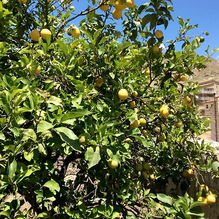 Giallo Storico Casa Villa *