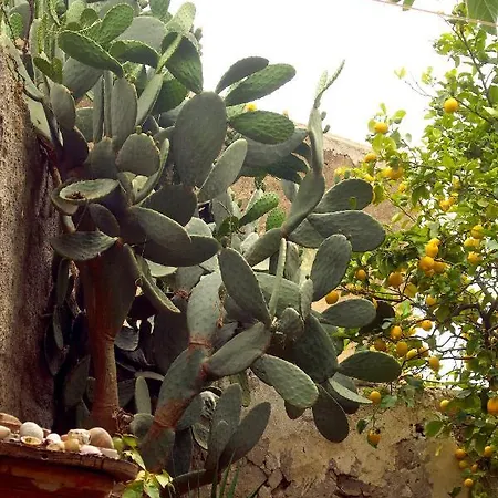 Villa Giallo Storico Casa *